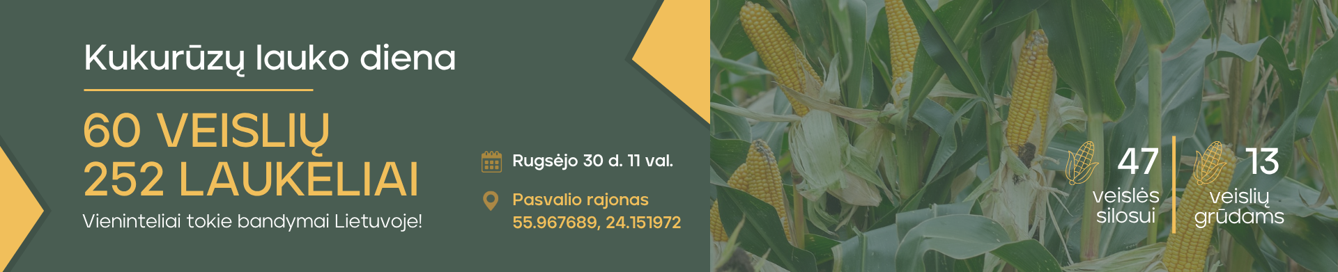 Kukurūzų lauko dienos 